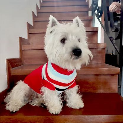 Dog Christmas Sweater – Cozy Knit Holiday Pet Sweater for Small & Medium Dogs