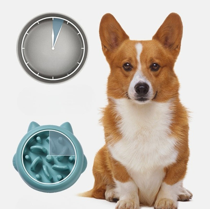 Slow Feeder Dog Bowl – Anti-Gulp Puzzle Bowl for Healthy Digestion